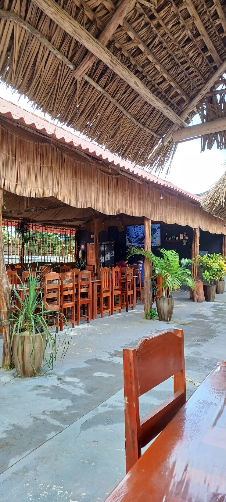 Ambiente interno decorado com plantas